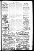Newspaper